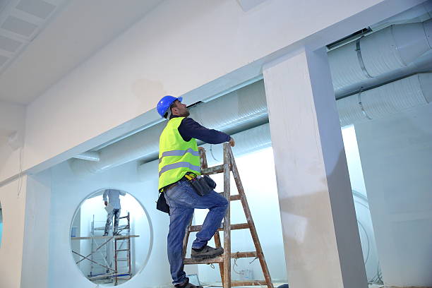 Best Mold Odor Removal Services  in Montana City, MT